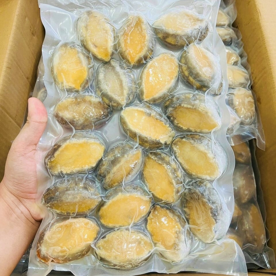 Bào ngư abalone size 16