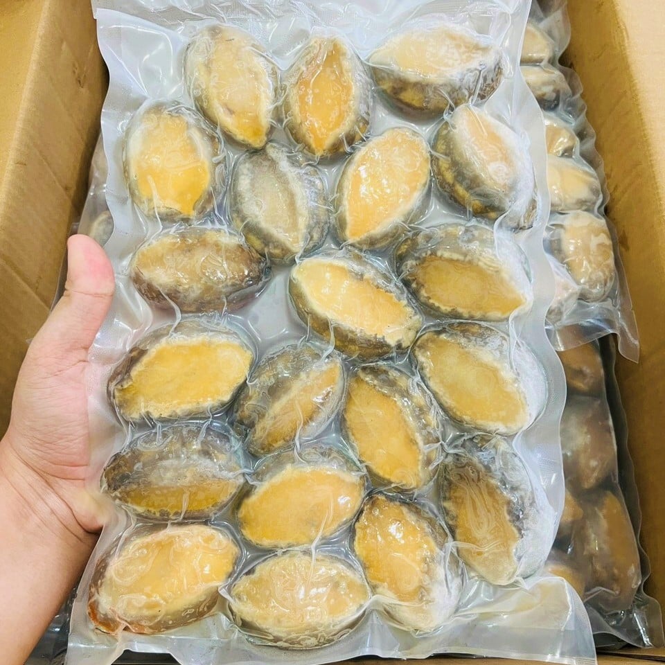 Bào Ngư Abalone Thùng Xanh Size 20con/1Kg