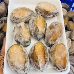 Bào ngư đông lạnh 14-16 con
