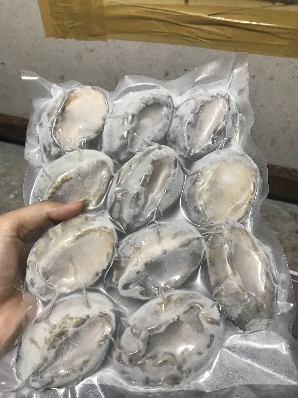 Bào Ngư Đông Lạnh Hàn Quốc Loại 1kg Size 10 Con giá sỉ