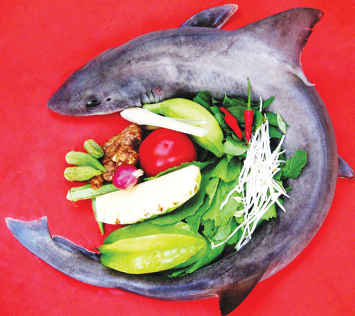 Cá Nhám Tươi Sống