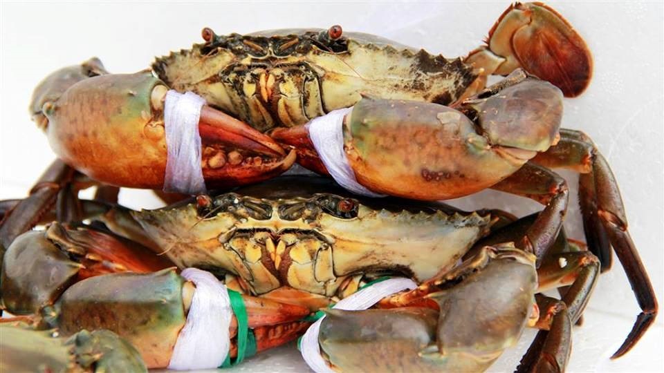 Cua Gạch (Size 4 Con 1Kg)