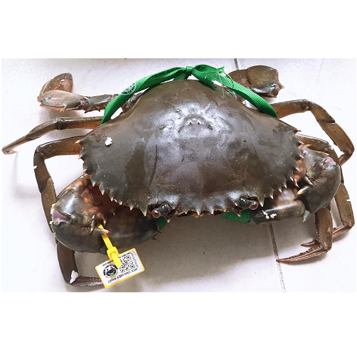Cua Thịt Cà Mau (Loại Y Tứ Size 4con 1Kg)