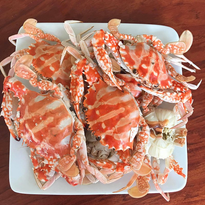 GHẸ ĐỎ LỚN 2-3-4 con/1kg