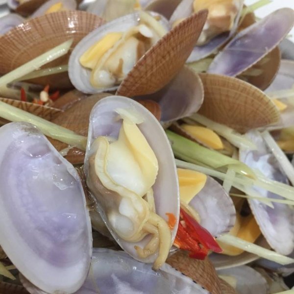 Ngao hoa