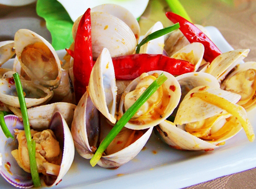 Ngao vàng