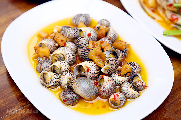 Ốc bông giá sỉ