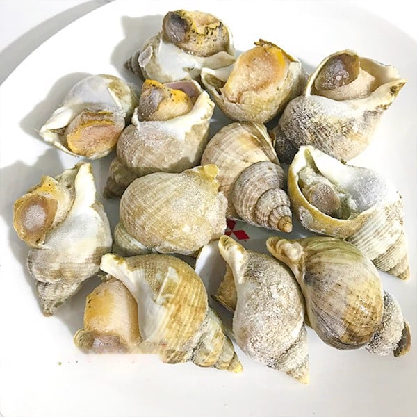 Ốc bulot