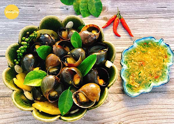 Ốc Bươu Tươi Sống
