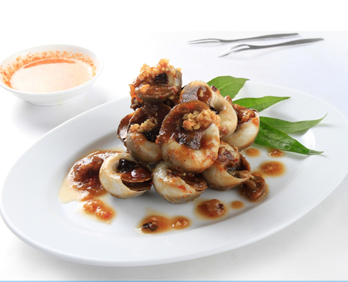 Ốc Mỡ Tươi Sống