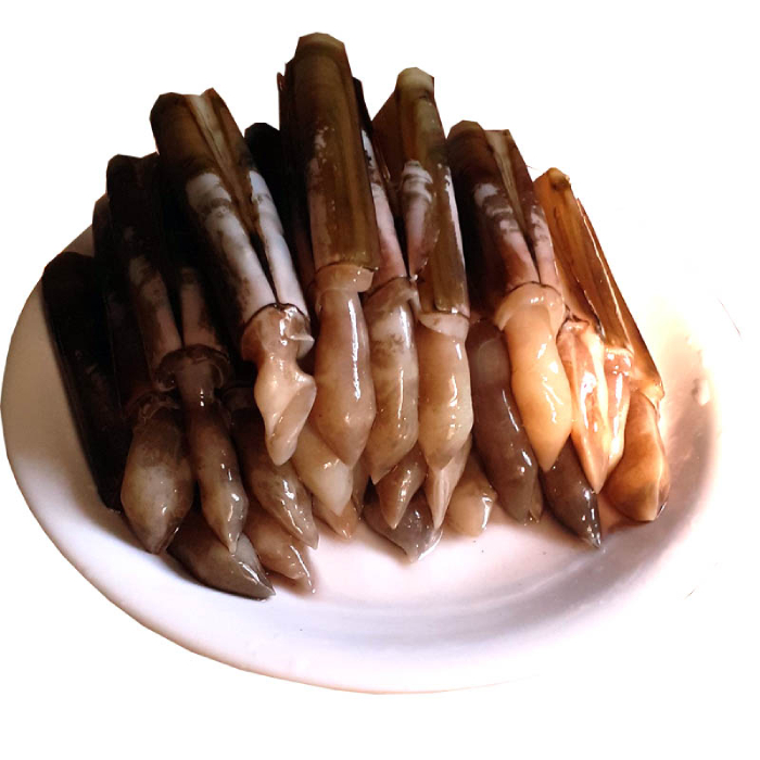 Ốc Móng Tay giá rẻ
