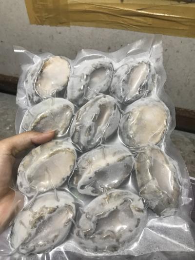 Bào Ngư Đông Lạnh Hàn Quốc Loại 1kg Size 10 Con giá sỉ