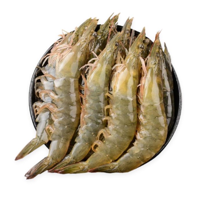 Tôm sú sống, nuôi sinh thái loại 1 Size 40-50 con/kg